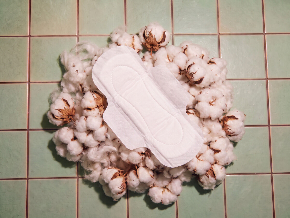 A Garnuu pad resting on a heap of raw organic cotton bolls